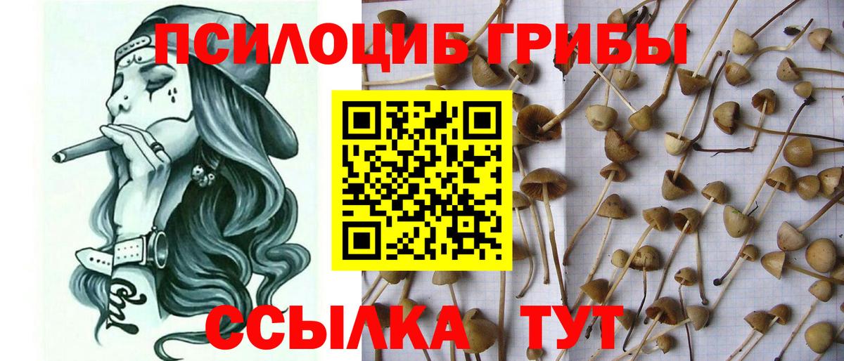 Галлюциногенные грибы MAGIC MUSHROOMS Гагарин